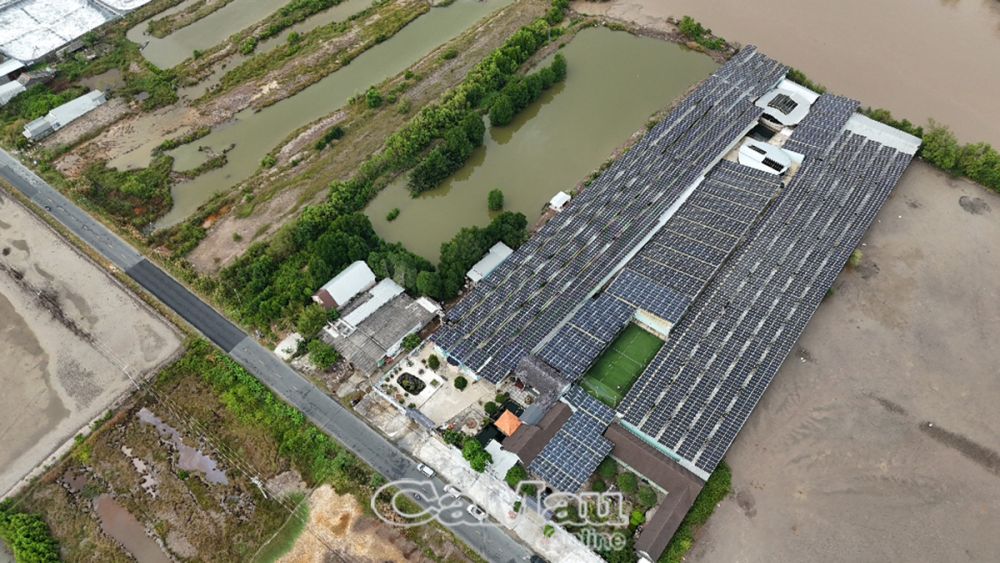 Cà Mau hướng tới “thủ phủ” năng lượng xanh - Bài cuối: Chìa khoá đến Net zero
